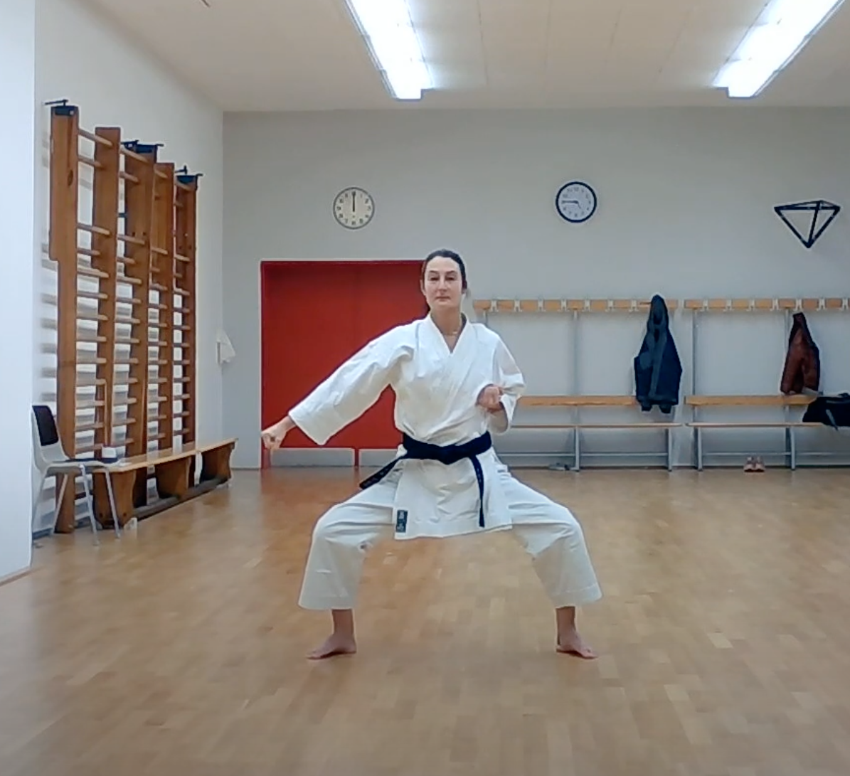 Read more about the article Karate Trainingsvideo