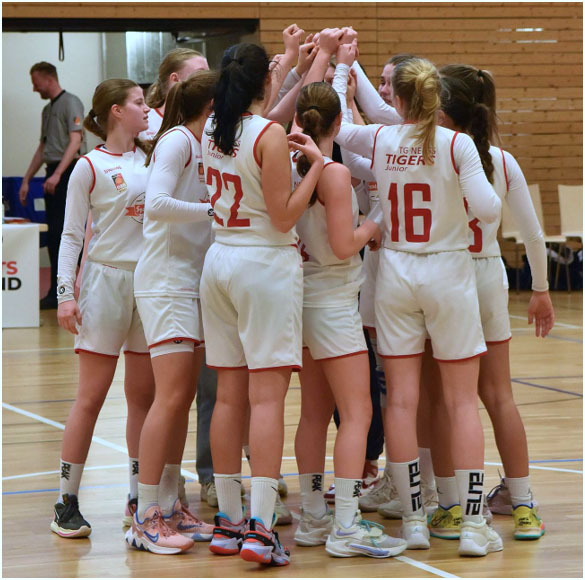 Read more about the article Einladung Tryouts TG Neuss Junior Tigers